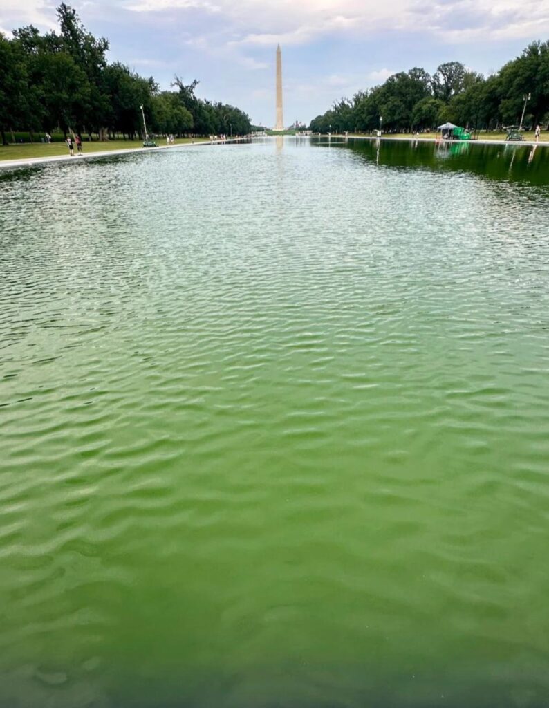 Reflecting Pool