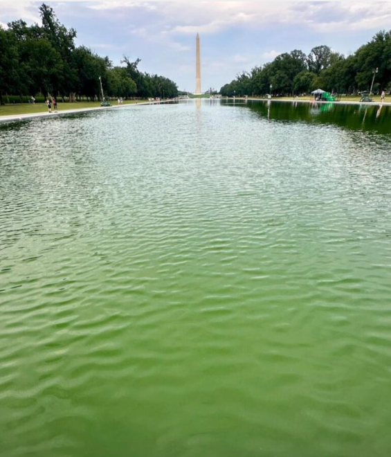 Reflecting Pool