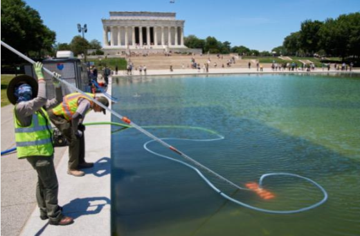 Reflecting Pool