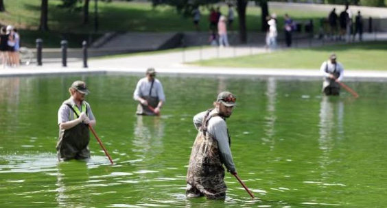 Reflecting Pool