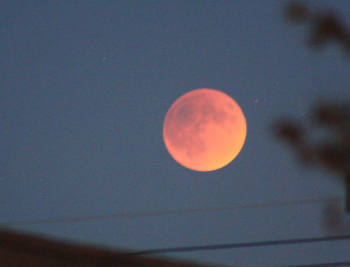Blood Moon