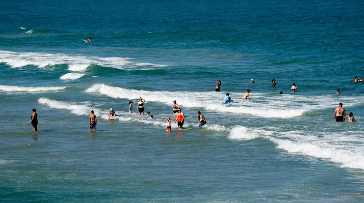 Vibrio bacteria are found in higher numbers from May to October