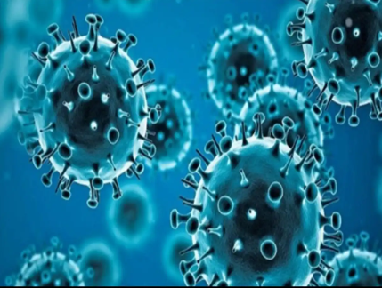 Louisiana Vibrio vulnificus
