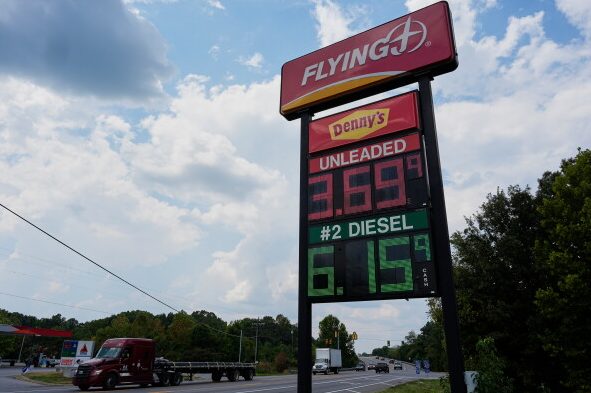Fuel Prices
