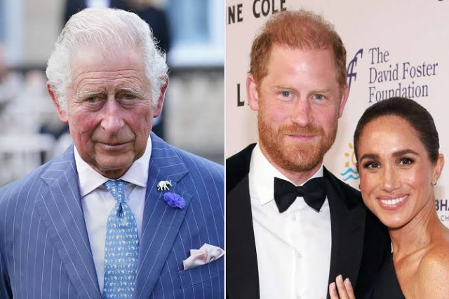 King makes clear Harry and Meghan remain non-working royals