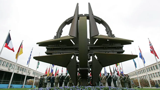 NATO Allies