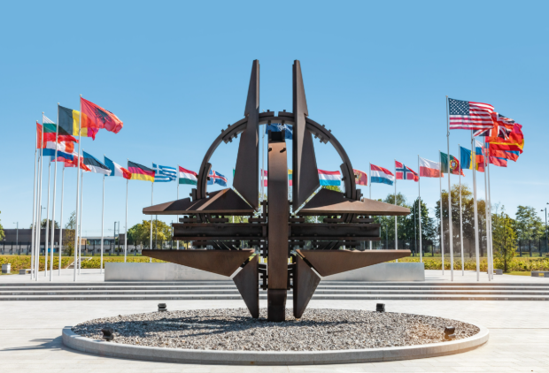 NATO Allies