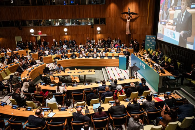 UN Ukraine and Food Security