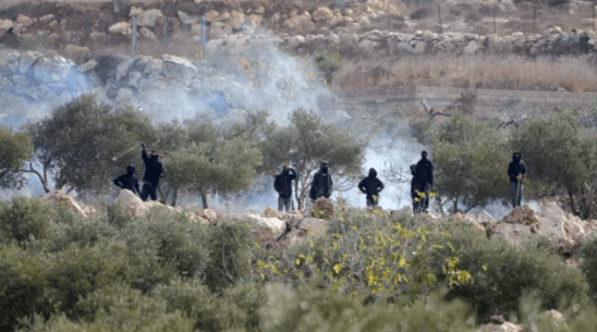 Palestinians and US Journalist Injured in Israeli Settler Attack During West Bank Harvest
